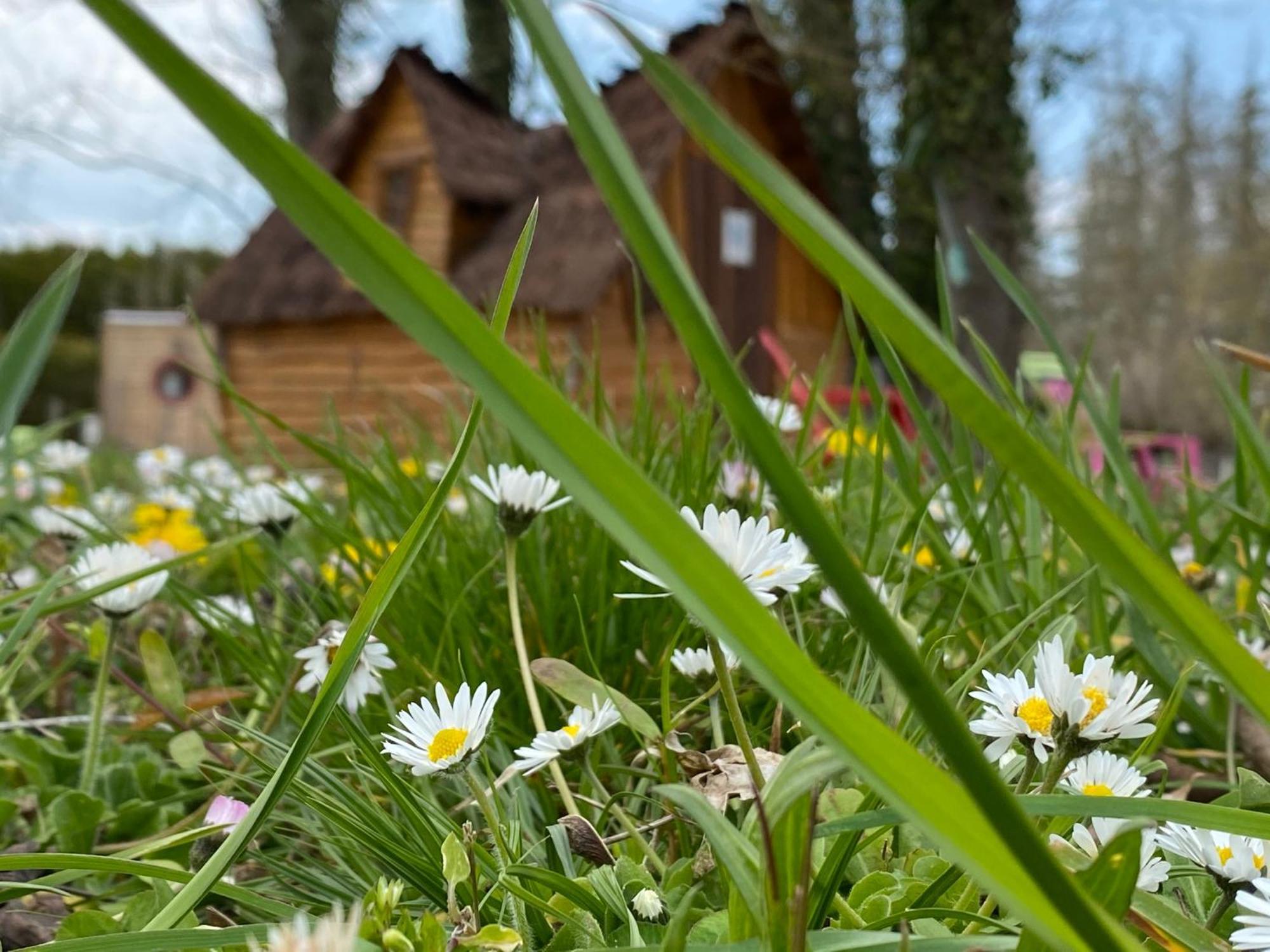 Le Village De La Champagne - Slowmoov Bar-sur-Aube Zewnętrze zdjęcie
